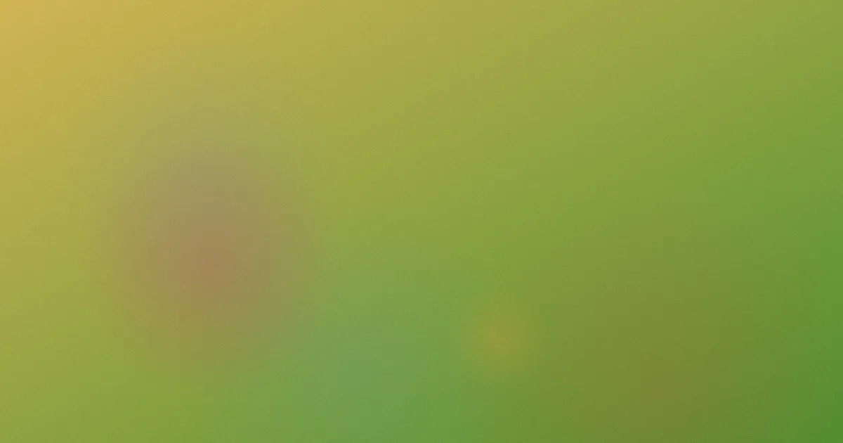 地毯英语是什么：一文讲清
